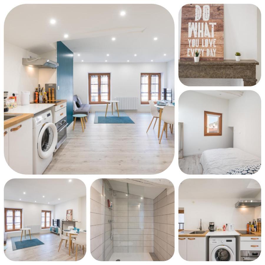 Appartement Netflix Centre De Vienne Pres De Lyon Eksteriør billede