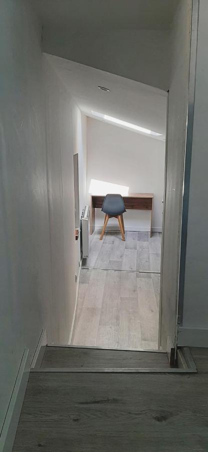 Appartement Netflix Centre De Vienne Pres De Lyon Eksteriør billede