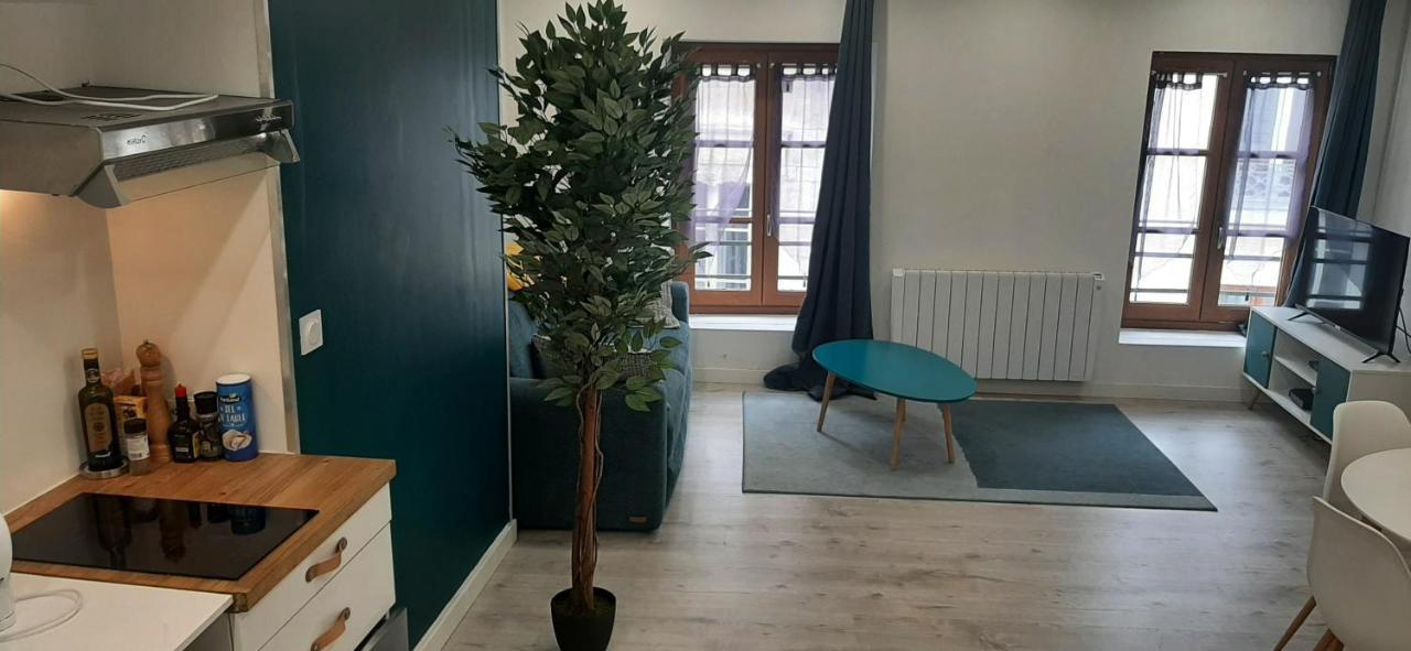 Appartement Netflix Centre De Vienne Pres De Lyon Eksteriør billede